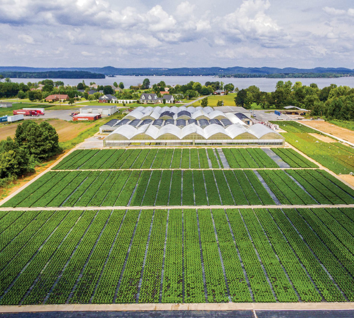 benefits-of-a-co-op-the-more-you-borrow field of grass