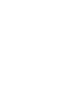 plant with leaves on both sides