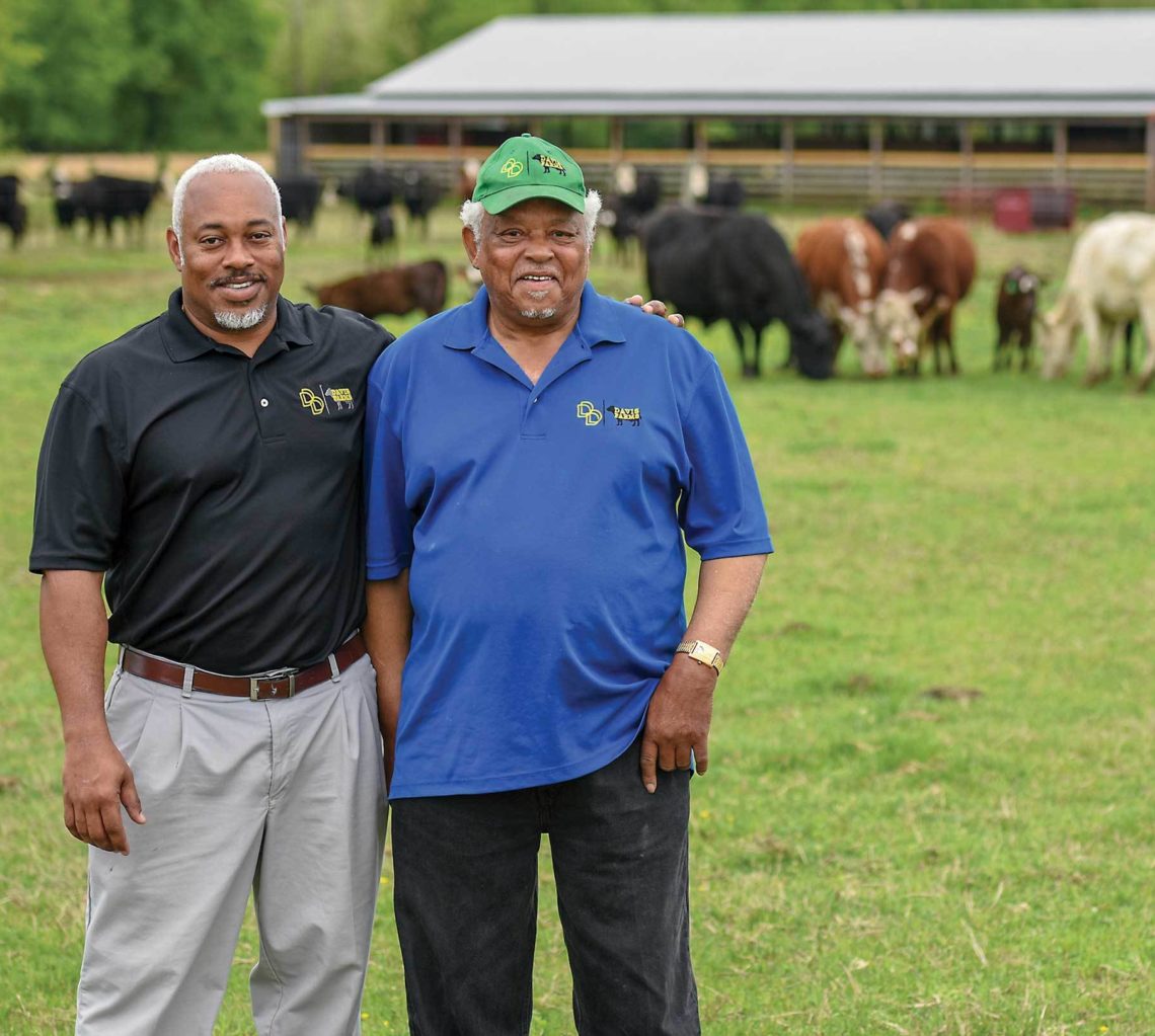 father and son in front of cattle