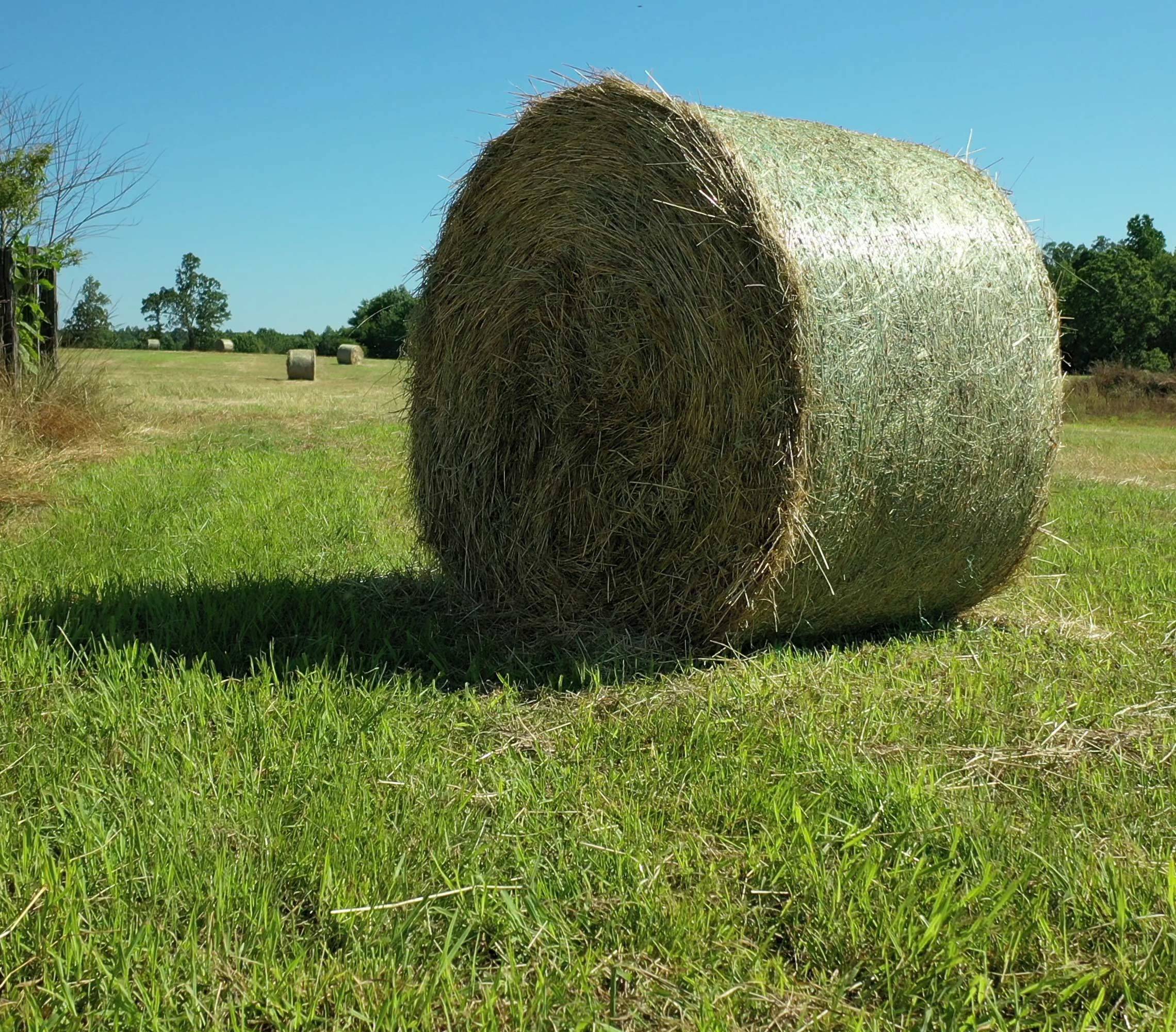 big bale of hay in grass field