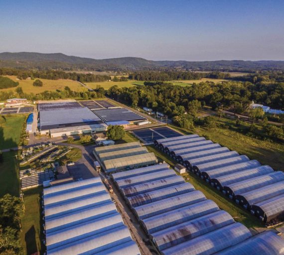 stockholders-change-in-value overhead view of farm