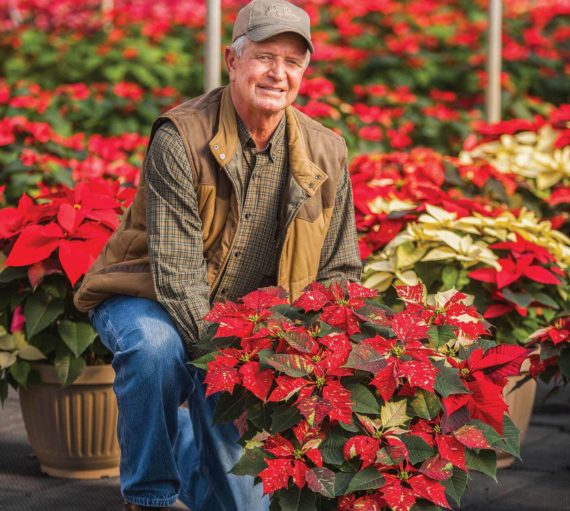 stockholders-check-what-is-voting-stock man working on potted plants