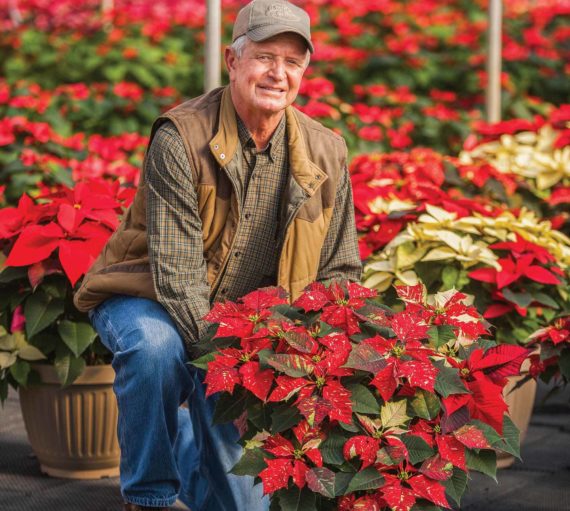 man working on potted plants