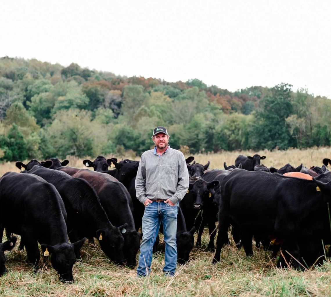 man with cows