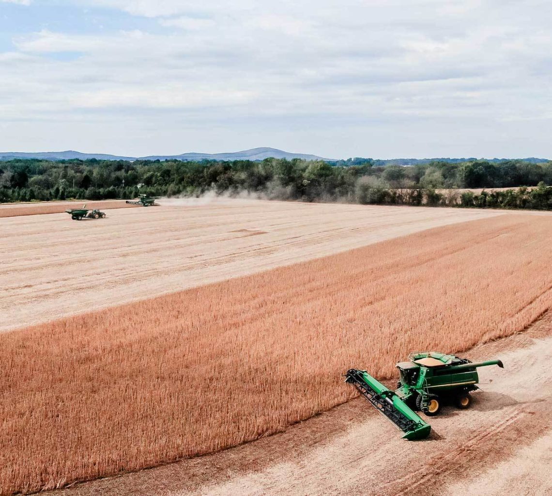 Cash-Management-ReverseFastCah farm field