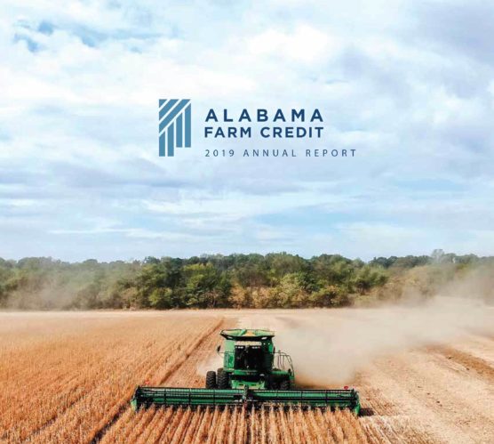 alabama farm credit 2019 annual report